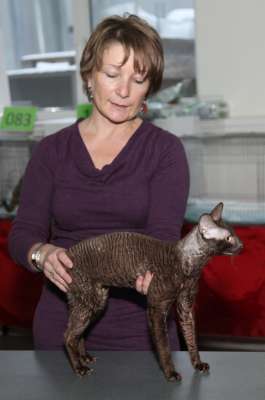 �������� ����� '������� ���-�����' 30 ������-1 ������� 2013., WCF-����� 4200